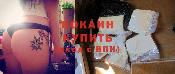 дмт Киреевск