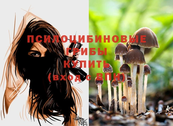 спайс Кинешма