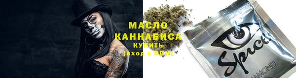 дмт Киреевск