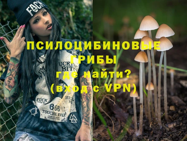 молекула духа Киренск